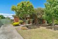 Property photo of 3 Edenbridge Court Carrum Downs VIC 3201