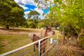 Property photo of 34 Roe Street Bridgetown WA 6255