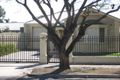 Property photo of 80 Ninth Avenue Joslin SA 5070