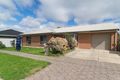 Property photo of 1A Cedar Avenue Greenacres SA 5086