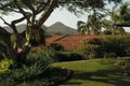 Property photo of 37 Azalea Street Mullumbimby NSW 2482