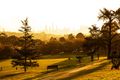 Property photo of 307/771 Toorak Road Hawthorn East VIC 3123