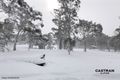 Property photo of 8 Cattle Pen Drive Dinner Plain VIC 3898
