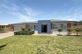 Property photo of 8 Brooks Street Griffith NSW 2680