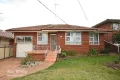 Property photo of 157 Old Prospect Road Greystanes NSW 2145