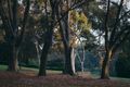 Property photo of 6 Ryan Street Coburg VIC 3058