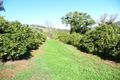 Property photo of 1434 Chittering Road Lower Chittering WA 6084