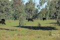 Property photo of Wonga Park Drive Waldara VIC 3678