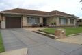 Property photo of 35 Ansett Avenue Netley SA 5037