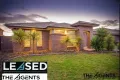 Property photo of 19 Tyler Crescent Tarneit VIC 3029