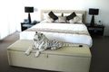 Property photo of 1205/230-236 Marine Parade Labrador QLD 4215
