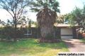 Property photo of 19 Springfield Crescent Daisy Hill QLD 4127
