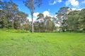 Property photo of 145 Mooloolah Meadows Drive Diamond Valley QLD 4553