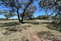Property photo of 37 Dandaloo Street Nyngan NSW 2825