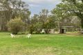 Property photo of 4 Carbine Road Spring Creek QLD 4343