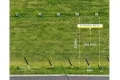 Property photo of 61 Box Road Box Hill NSW 2765