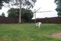 Property photo of 8 Helena Avenue Emerton NSW 2770