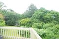 Property photo of 28 Jenyns Road Tamborine Mountain QLD 4272