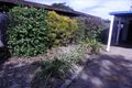 Property photo of 7 Buunong Avenue Kelso QLD 4815