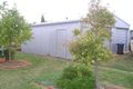 Property photo of 60 Summer Drive Buronga NSW 2739
