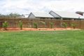 Property photo of 55 Sheerwater Douglas QLD 4814