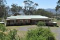 Property photo of 110 Tullamore Road Loomberah NSW 2340