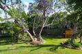 Property photo of 16 Canget Street Wingham NSW 2429
