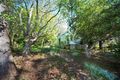 Property photo of 35 Second Street Blackheath NSW 2785