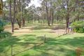Property photo of 256 Bell Road Lower Belford NSW 2335