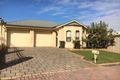 Property photo of 2 Castres Street Glynde SA 5070
