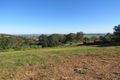 Property photo of 273 Skyline Road South Monaltrie NSW 2480