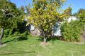 Property photo of 20 Cullen Street Kerang VIC 3579