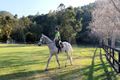 Property photo of 228 Clagiraba Road Mount Nathan QLD 4211