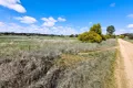 Property photo of 11 Boyketts Lane Maimuru NSW 2594