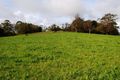 Property photo of 1717 Deer Vale Road Deer Vale NSW 2453