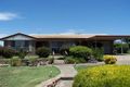 Property photo of 43 Lauder Street Inverell NSW 2360