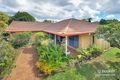 Property photo of 6 Halkin Street Eight Mile Plains QLD 4113