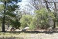 Property photo of 79 Sugarloaf Road Stanthorpe QLD 4380
