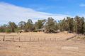 Property photo of 305 Lauffer Way Mahogany Creek WA 6072