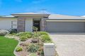 Property photo of 11 Cotham Street Nudgee QLD 4014