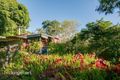 Property photo of 87 Austin Avenue McCrae VIC 3938