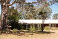 Property photo of 39 Connellys Creek Road Acheron VIC 3714