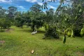 Property photo of 220 Lees Lane Hogarth Range NSW 2469