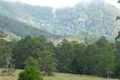 Property photo of 40 Pine Log Road Doon Doon NSW 2484
