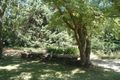Property photo of 40 Cross Street Glen Innes NSW 2370