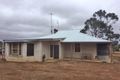 Property photo of 37 Neates Road Brooker SA 5607