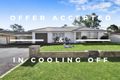 Property photo of 45 Neilson Crescent Bligh Park NSW 2756