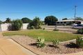 Property photo of 31 Dowsett Crescent Healy QLD 4825
