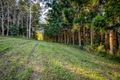 Property photo of 363 Mullins Creek Road Goomboorian QLD 4570