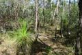 Property photo of LOT 50 Matchbox Road Deepwater QLD 4674